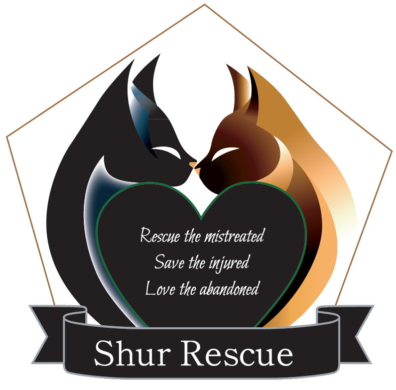 SHUR Rescue Logo