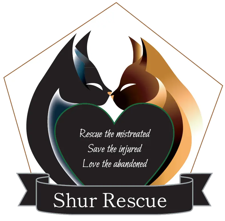 Rescue the mistreated, save the injured, love the abandoned